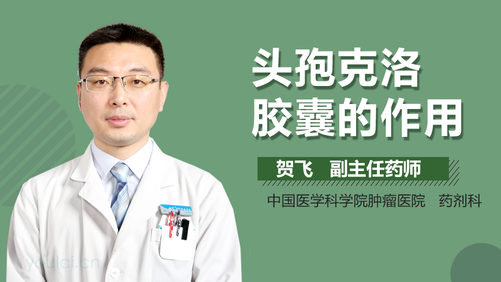 头孢克洛胶囊的作用