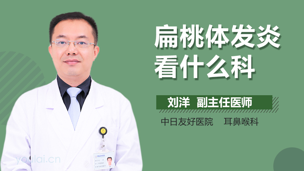 扁桃体发炎看什么科
