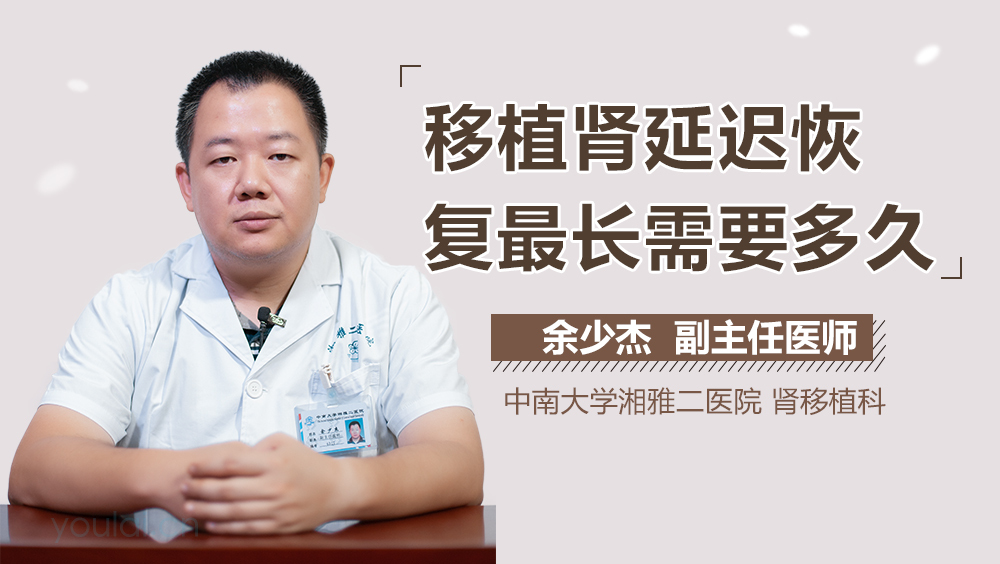 移植肾延迟恢复最长需要多久