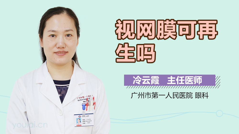 视网膜可再生吗