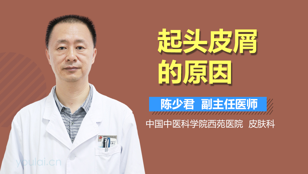 起头皮屑的原因