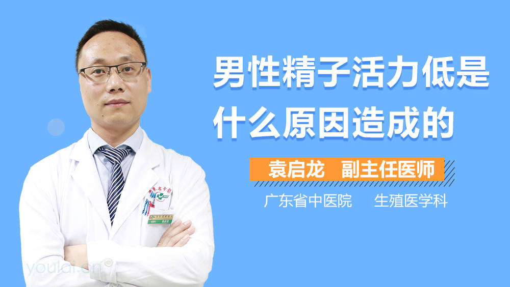 男性精子活力低是什么原因造成的