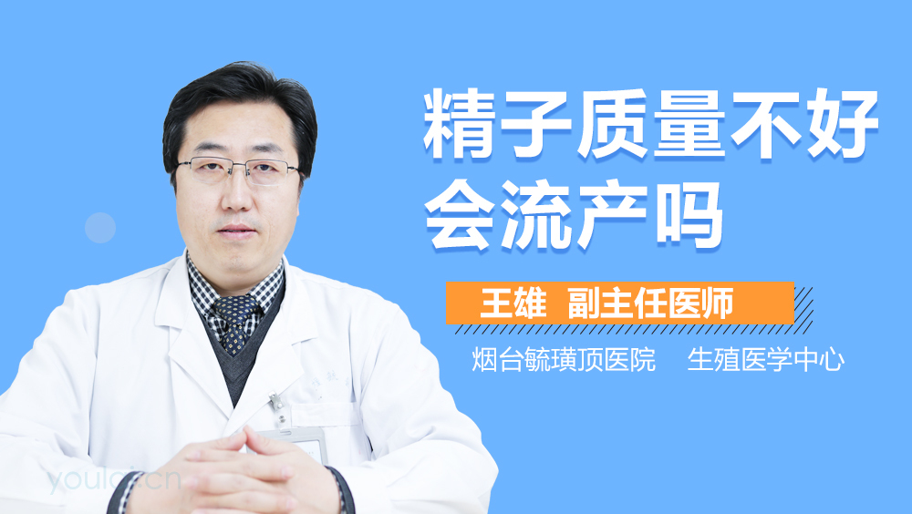 精子质量不好会流产吗