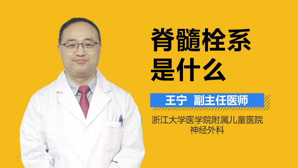 脊髓栓系是什么