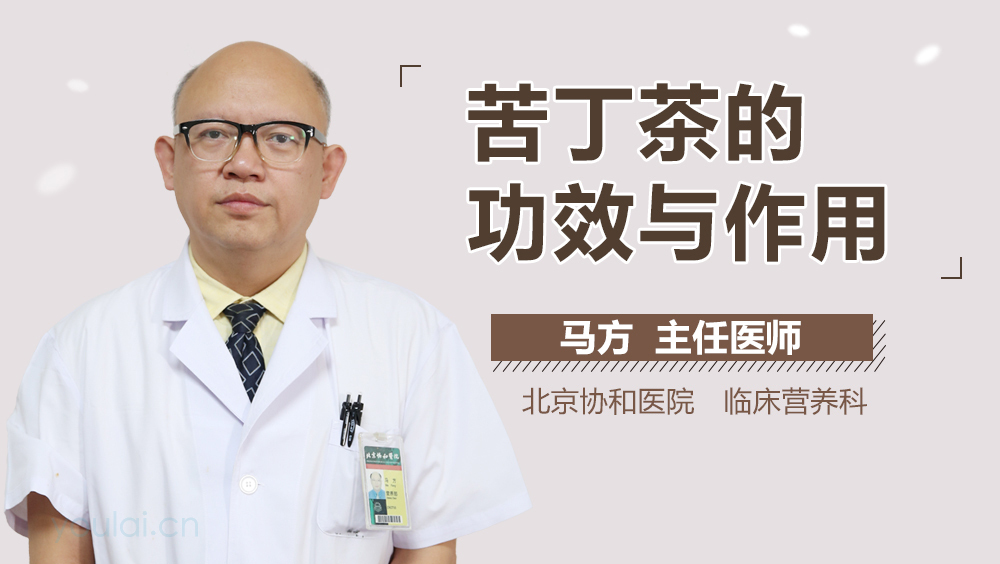 苦丁茶的功效与作用