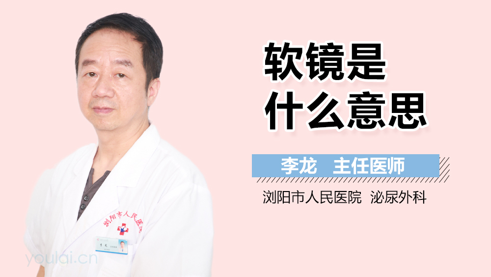 软镜是什么意思