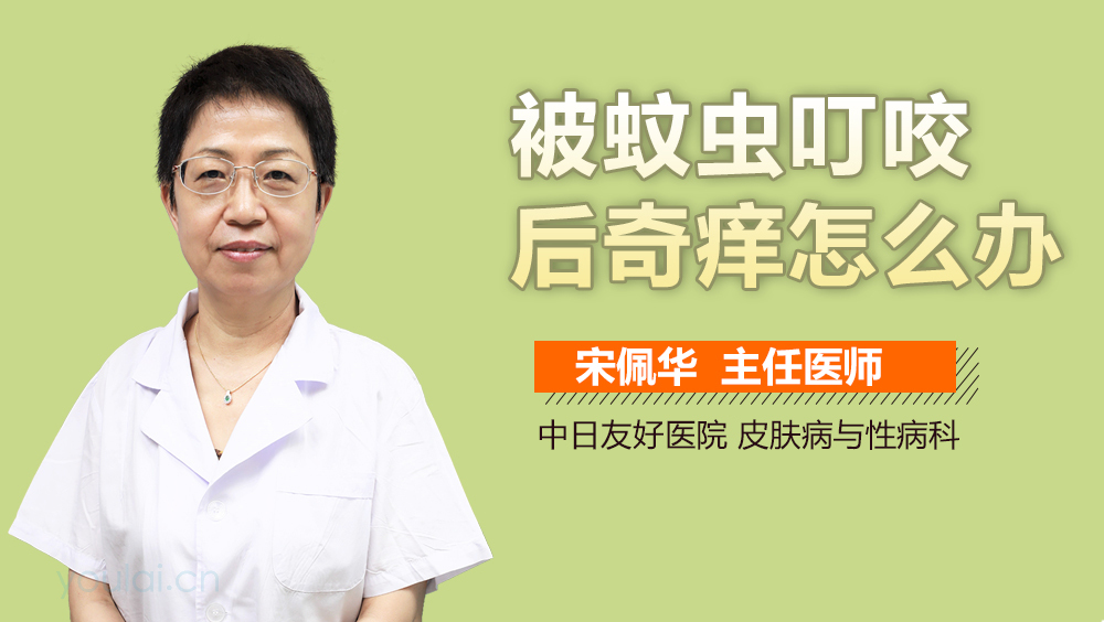 被蚊虫叮咬后奇痒怎么办