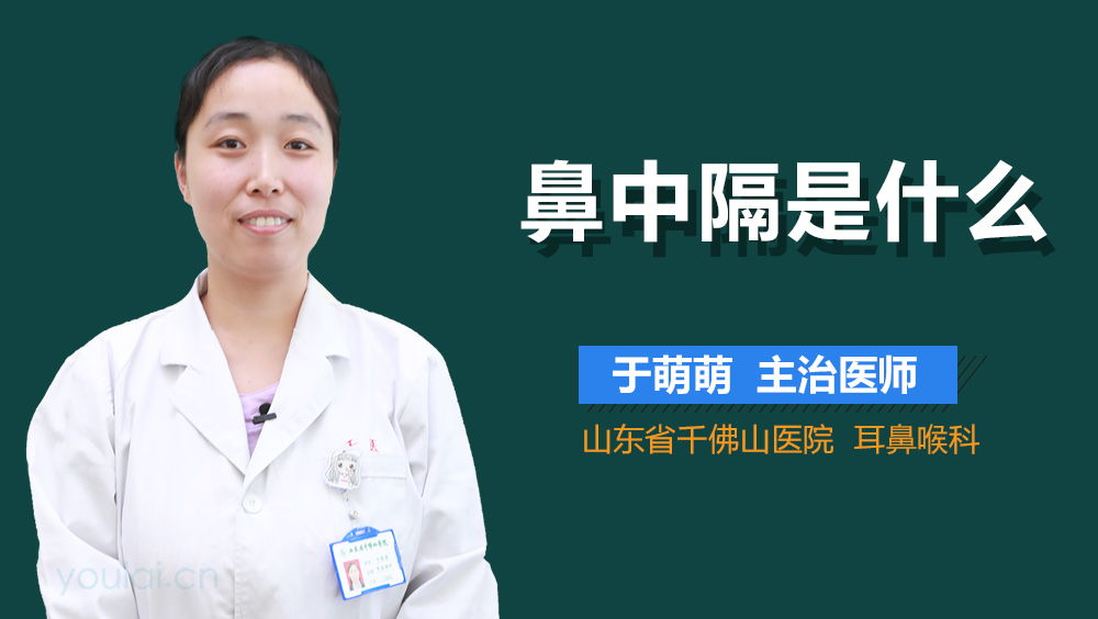 鼻中隔是什么