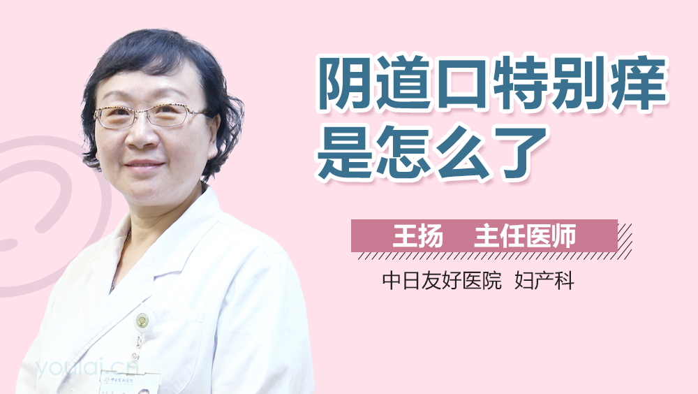 阴道口特别痒是怎么了
