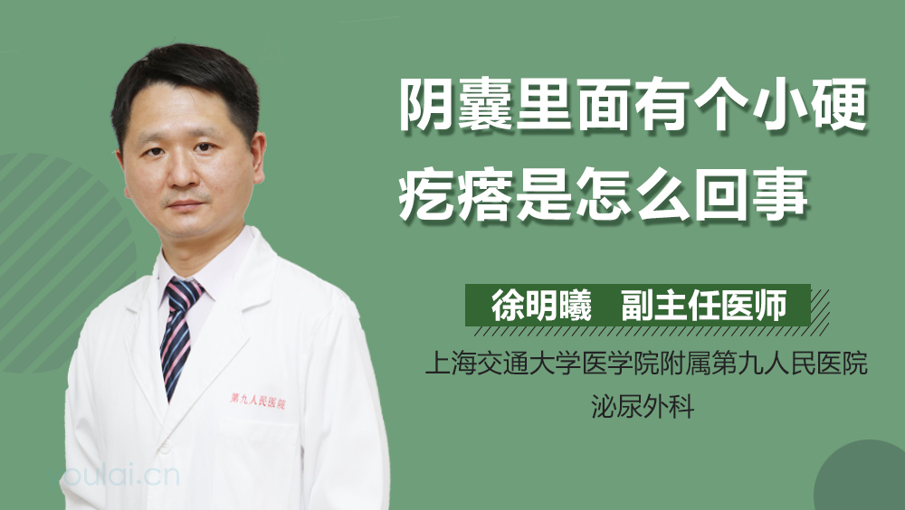 阴囊里面有个小硬疙瘩是怎么回事