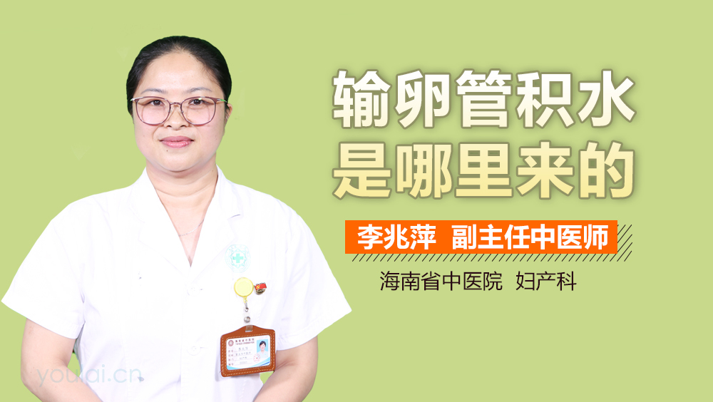 输卵管积水是哪里来的