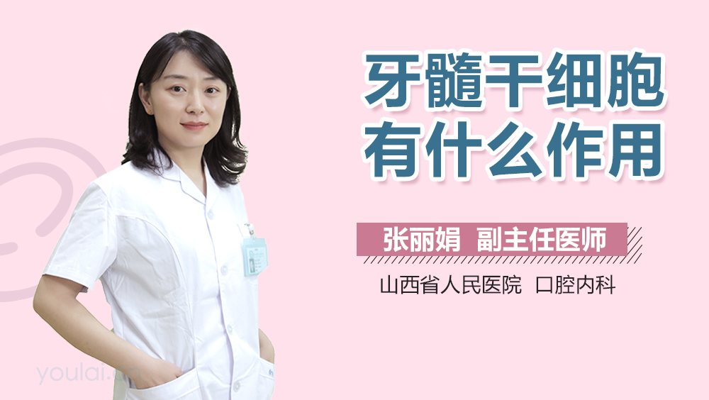 牙髓干细胞有什么作用