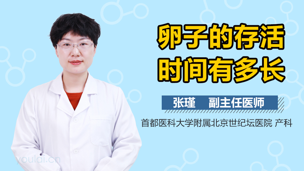 卵子的存活时间有多长
