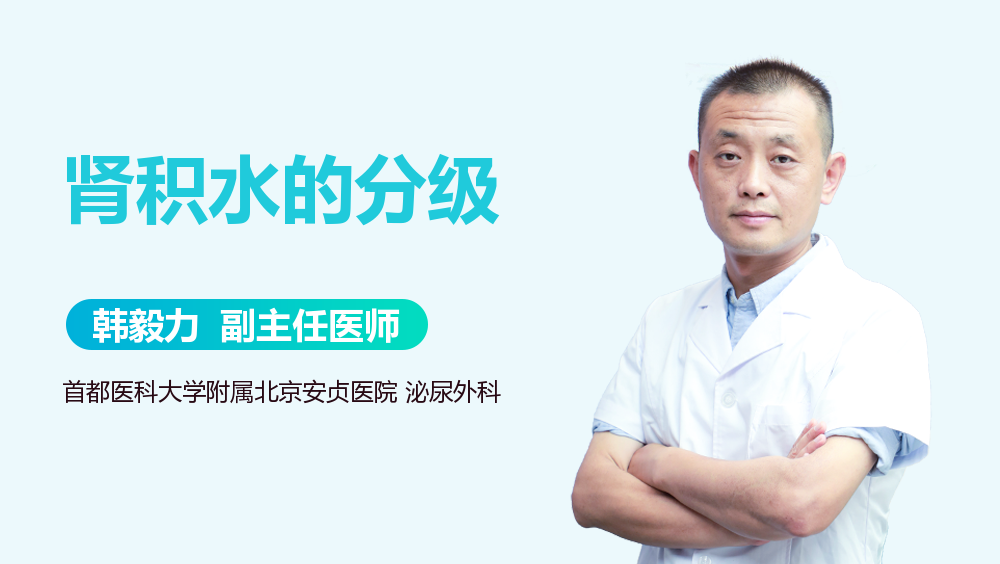 肾积水的分级