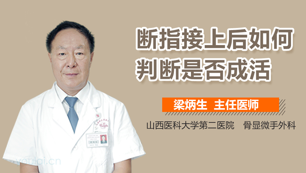 断指接上后如何判断是否成活