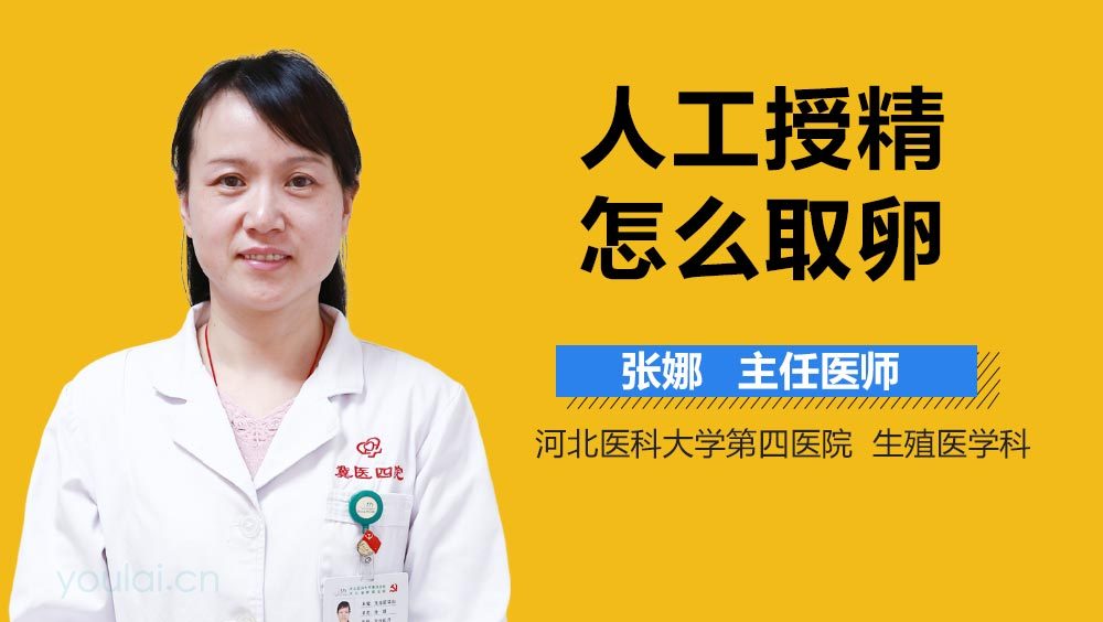 人工授精怎么取卵