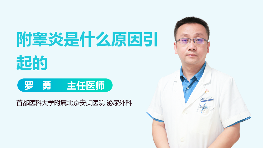附睾炎是什么原因引起的
