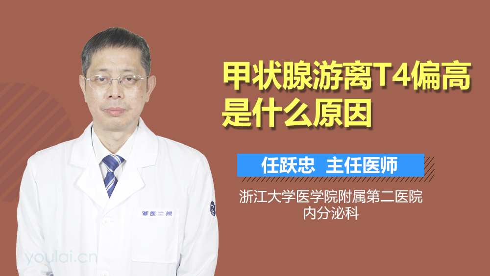 甲状腺游离T4偏高是什么原因