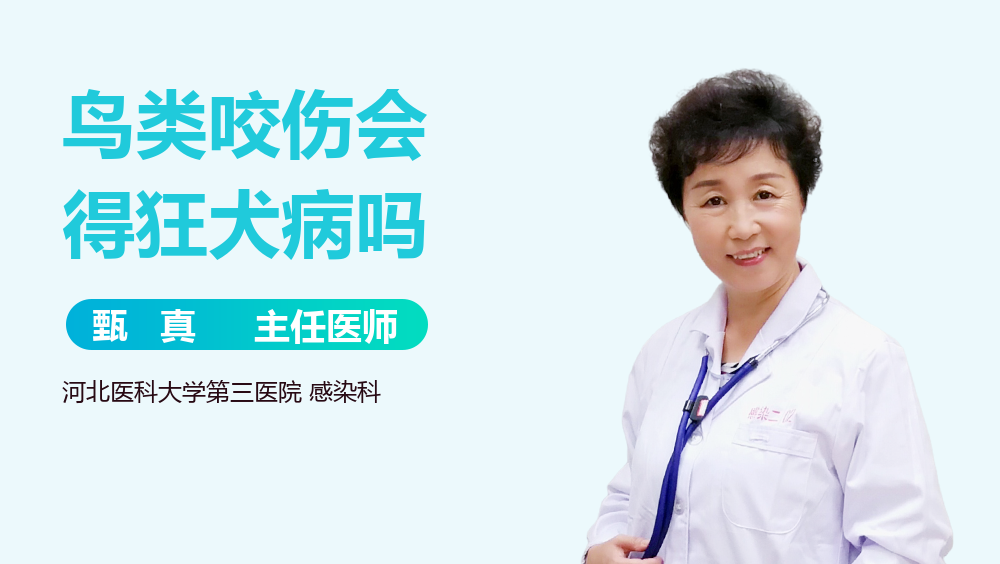 鸟类咬伤会得狂犬病吗