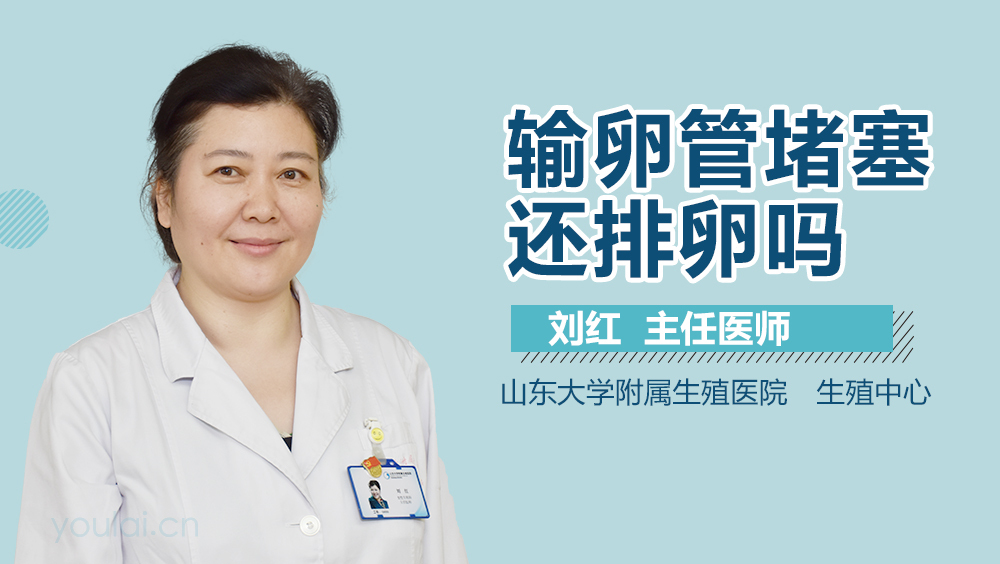 输卵管堵塞还排卵吗