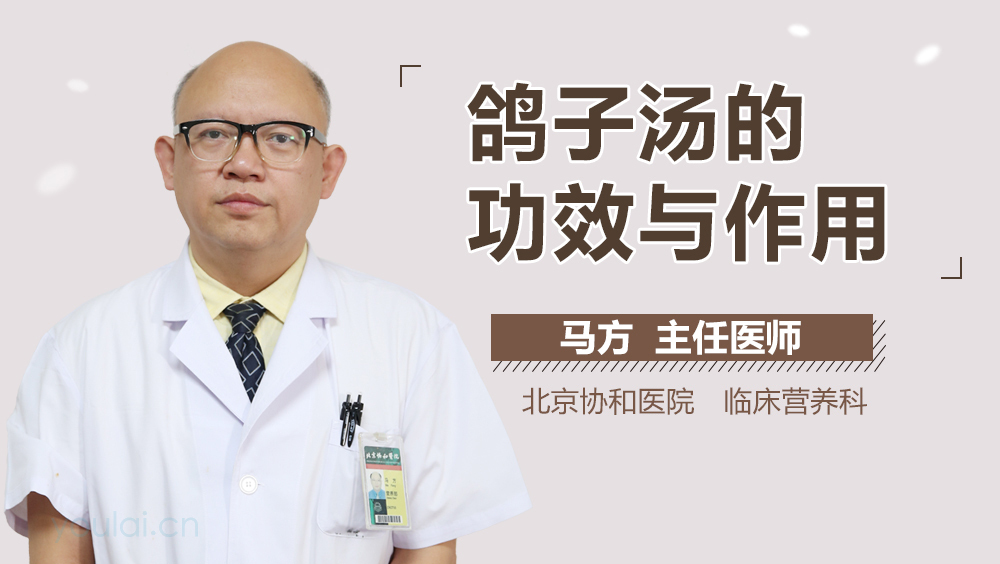 鸽子汤的功效与作用