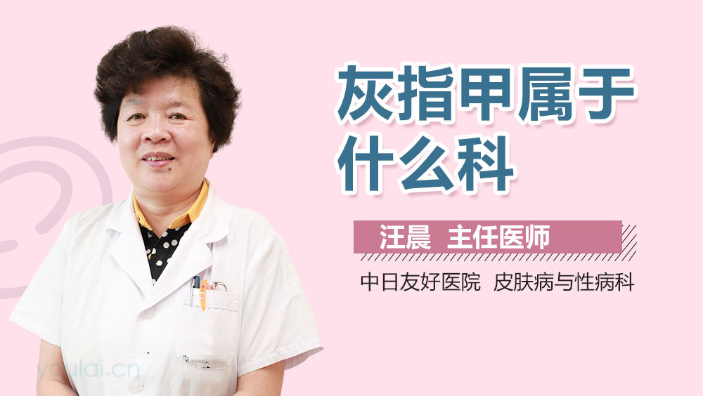 灰指甲属于什么科