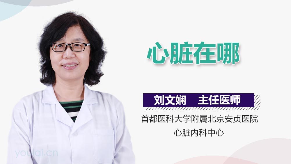 心脏在哪