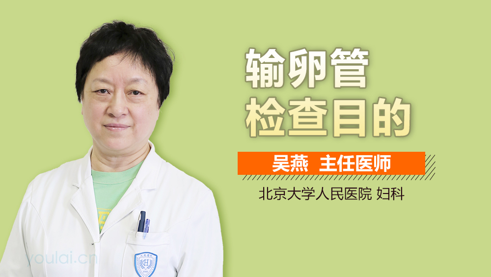 输卵管检查目的