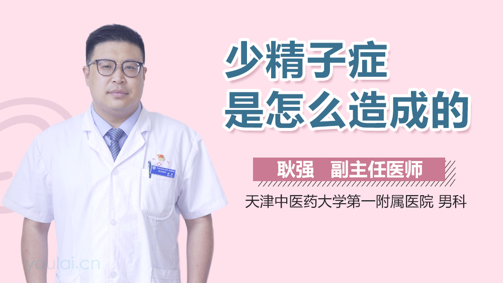 少精子症是怎么造成的