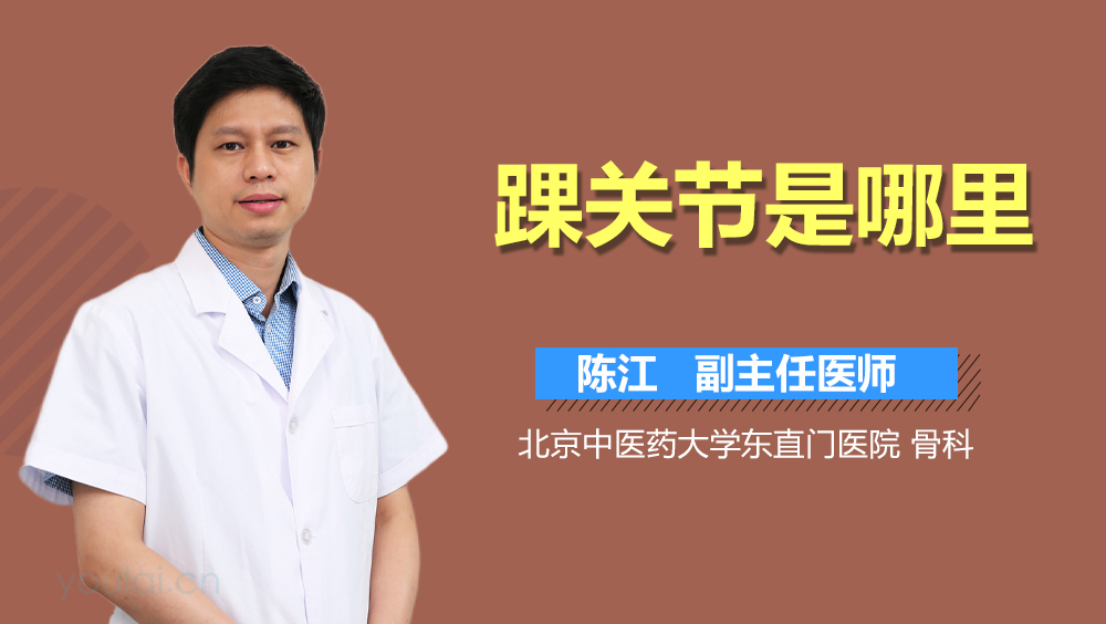 踝关节是哪里