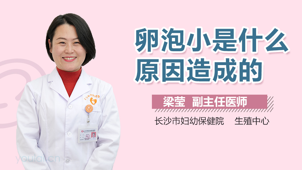 卵泡小是什么原因造成的