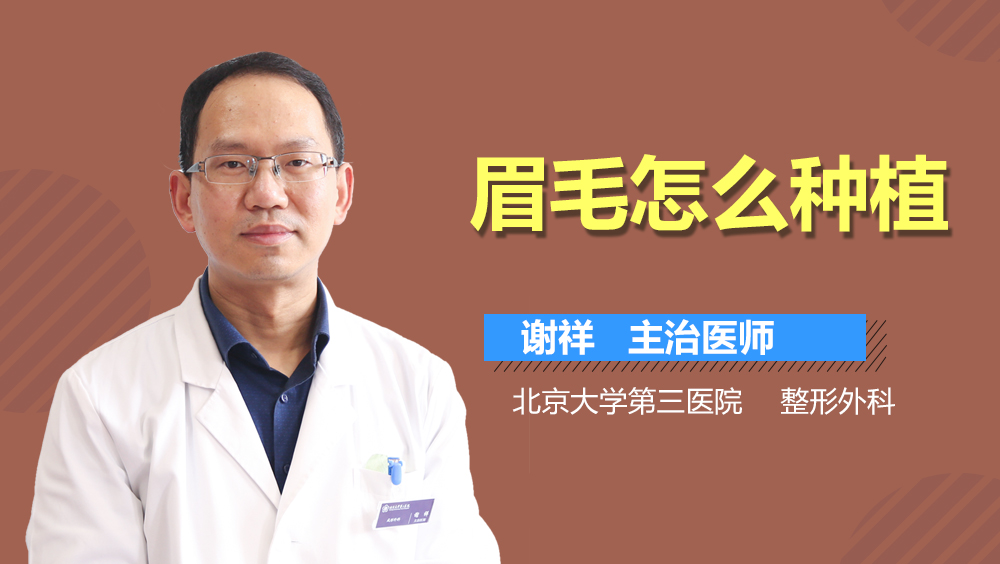 眉毛怎么种植