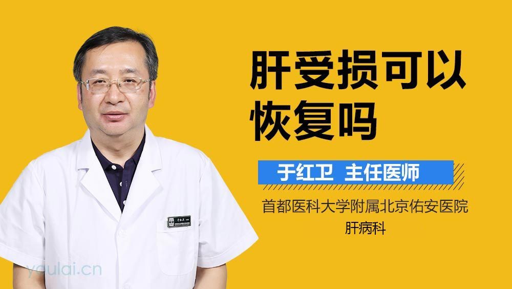 肝受损可以恢复吗