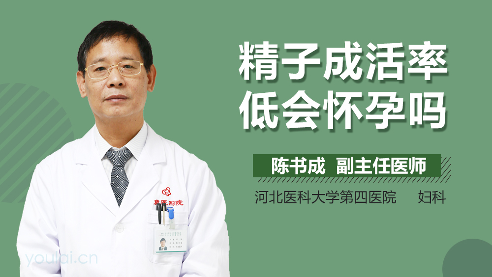 精子成活率低会怀孕吗