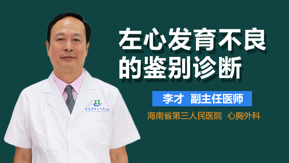 左心发育不良的鉴别诊断