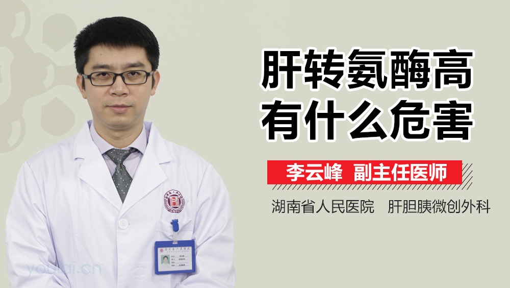 肝转氨酶高有什么危害