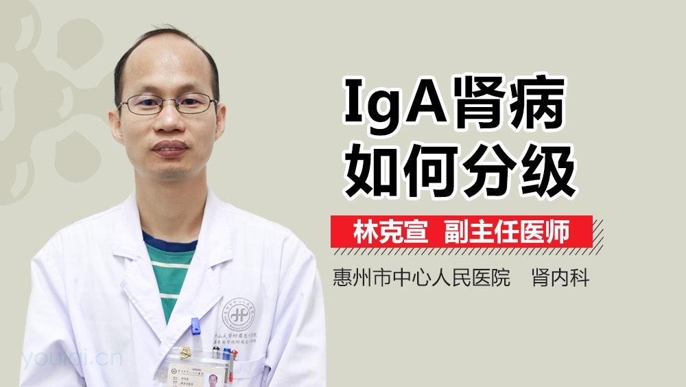 IgA肾病如何分级