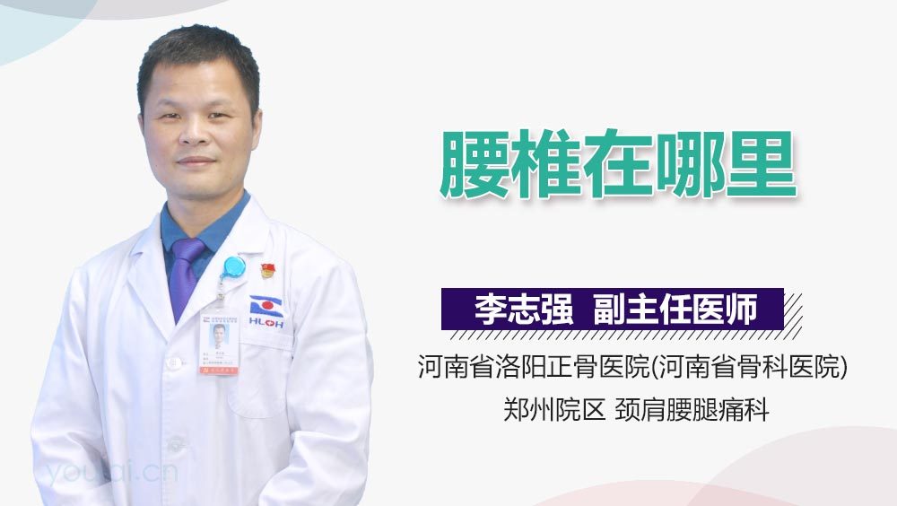 腰椎在哪里