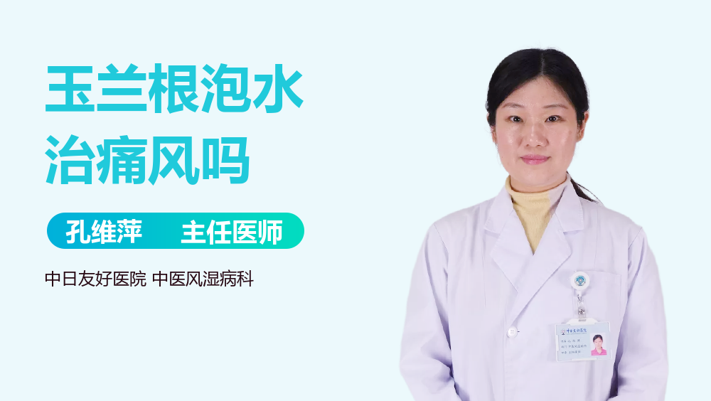 玉兰根泡水治痛风吗