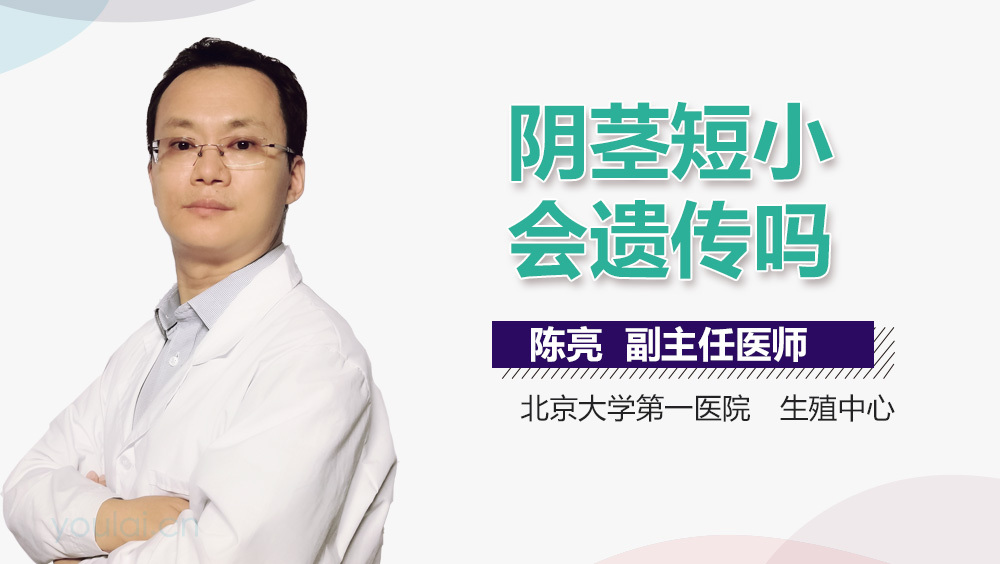 阴茎短小会遗传吗