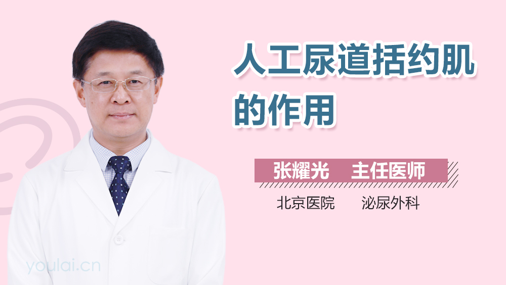人工尿道括约肌的作用
