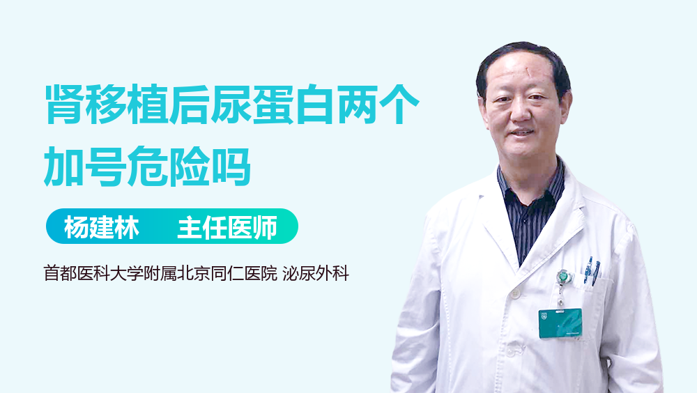 肾移植后尿蛋白两个加号危险吗