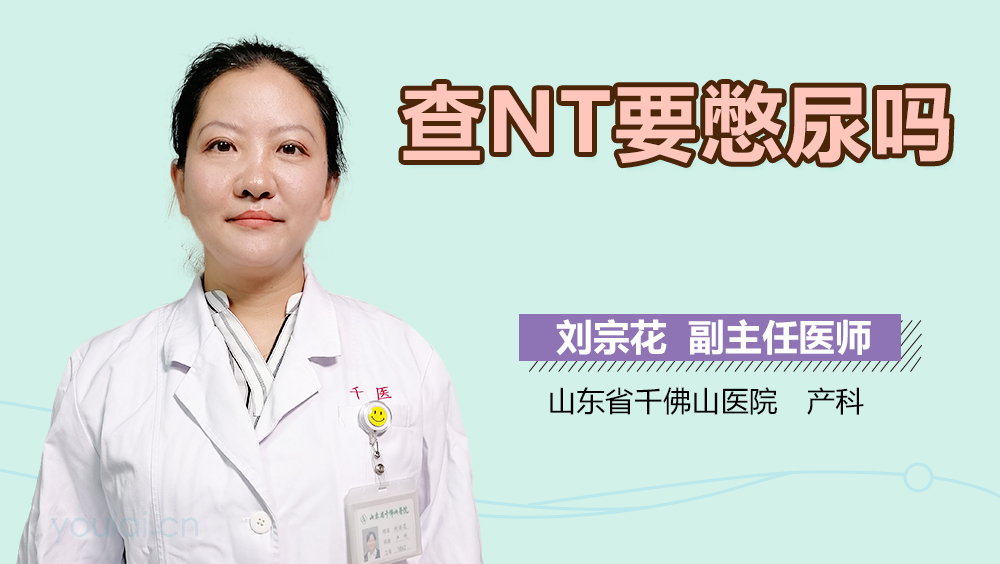 查NT要憋尿吗