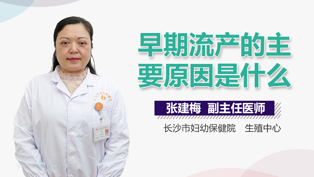 早期流产的主要原因是什么