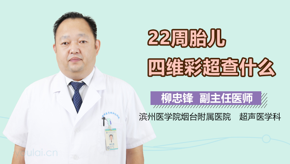 22周胎儿四维彩超查什么