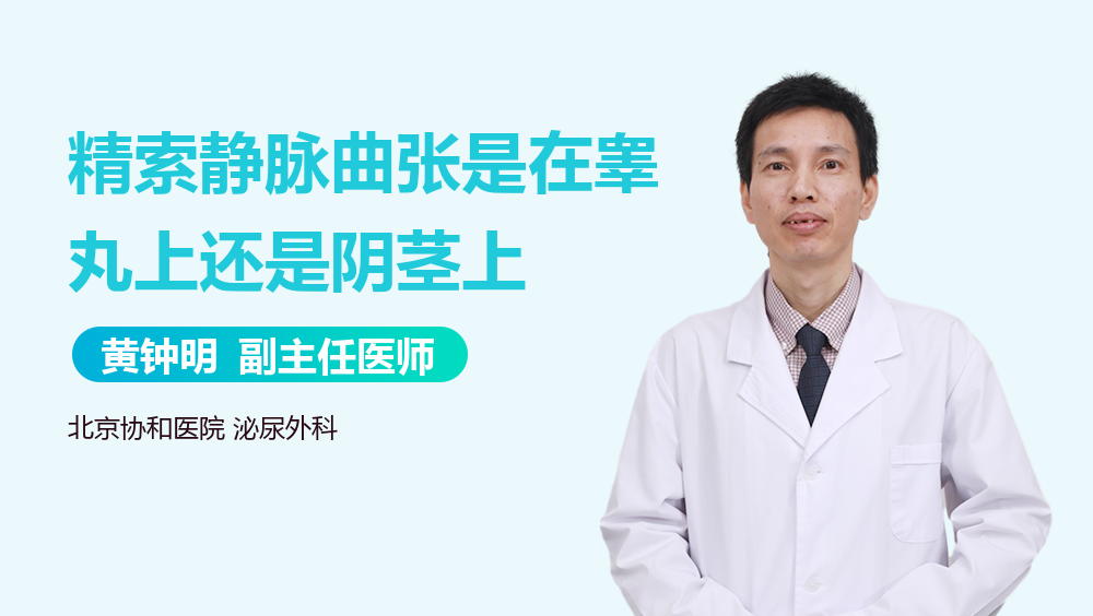 精索静脉曲张是在睾丸上还是阴茎上