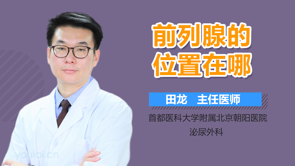 前列腺的位置在哪
