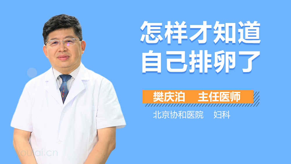 怎样才知道自己排卵了