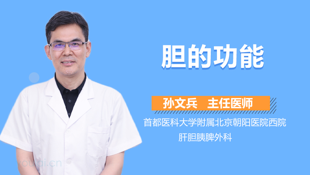 胆的功能