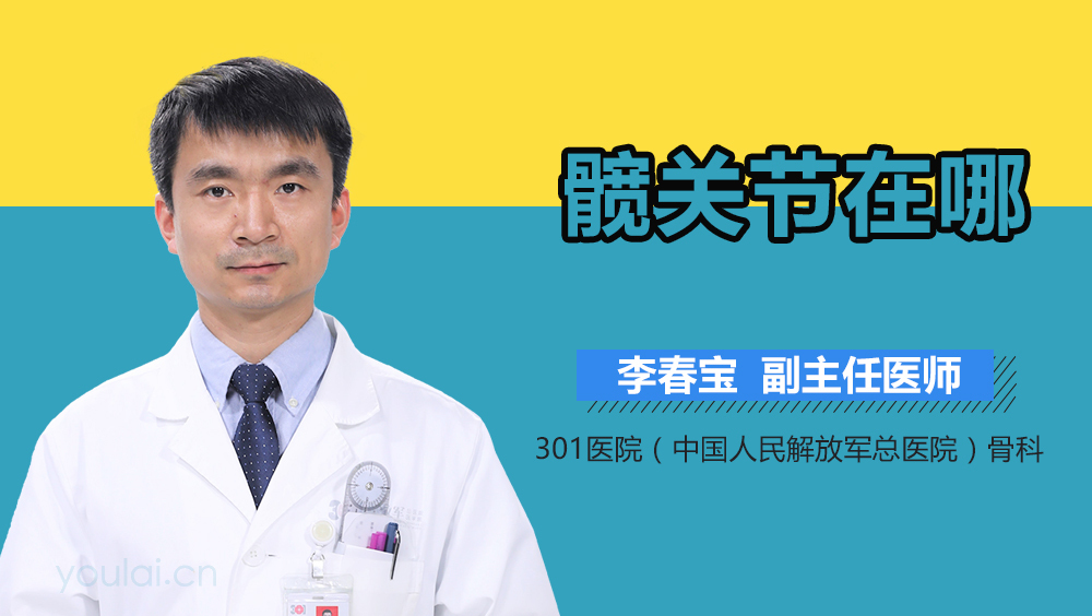 髋关节在哪